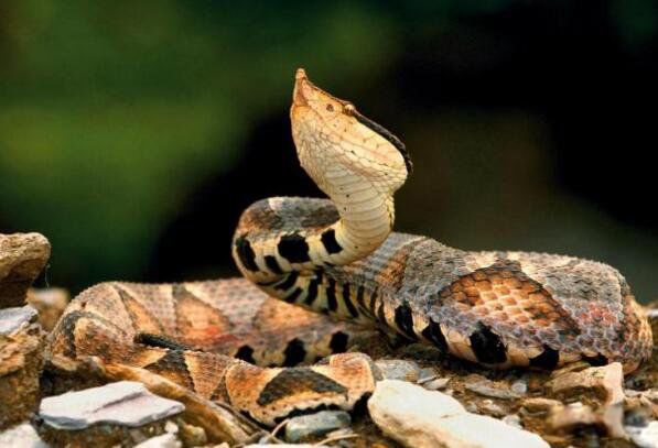 ���������й�������� ��������ʲô��ʲô���ӵ�