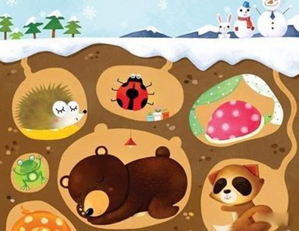 ���ﶬ�������һֱ��˯���� �����ﶬ�ߵ�ԭ����Ҫ����Щ