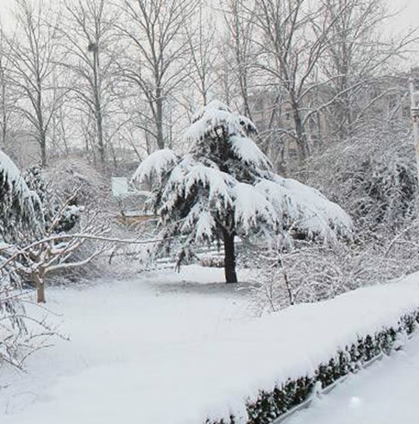 ���ﶬ�������һֱ��˯���� �����ﶬ�ߵ�ԭ����Ҫ����Щ