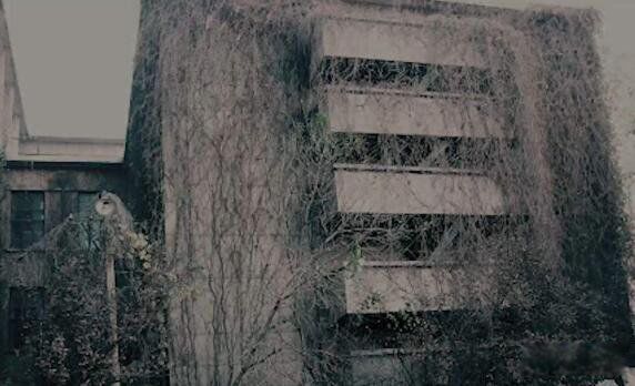 ʮ���¥�¼����� �й������Ĺ�¥����Щ������