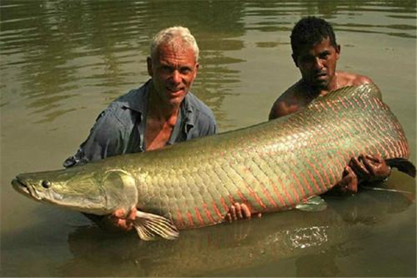 �޹�����ͼƬ��� �Ǳ��������Σ������