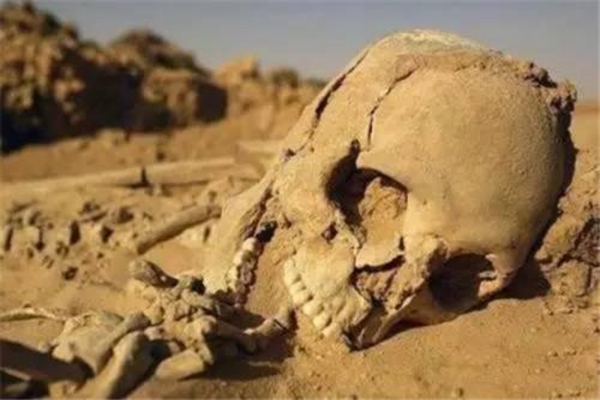 ����ɽ�����ʲô��˼ ����ɽ�н�类��һ�������