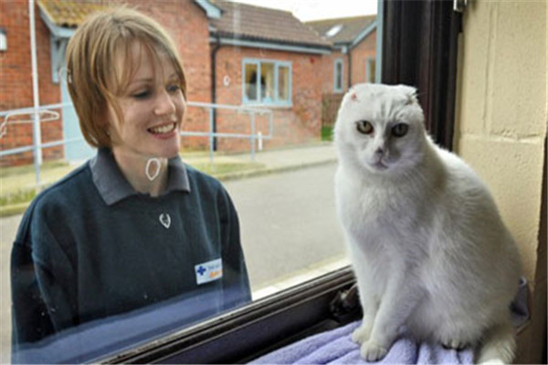 ���������ħ��è����ʲôè ����ħ��èʲôƷ��