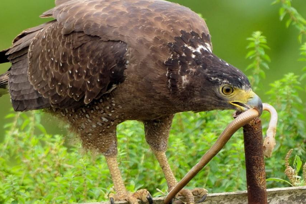 �ߵ������ʲô���� ���������ֿ��Ƕ����̵�