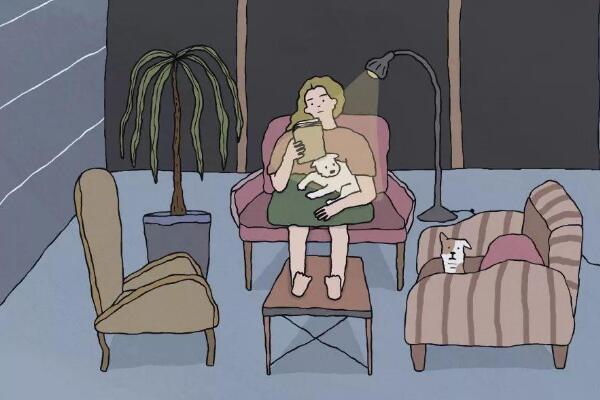 ���۲�����ָ������ ʲô��������õĻش�