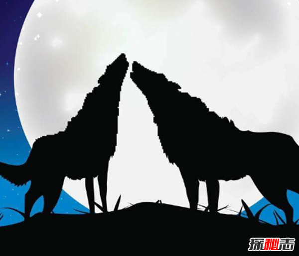 �������˭���� ��������ϸ�ĶԱ�ԭ�����