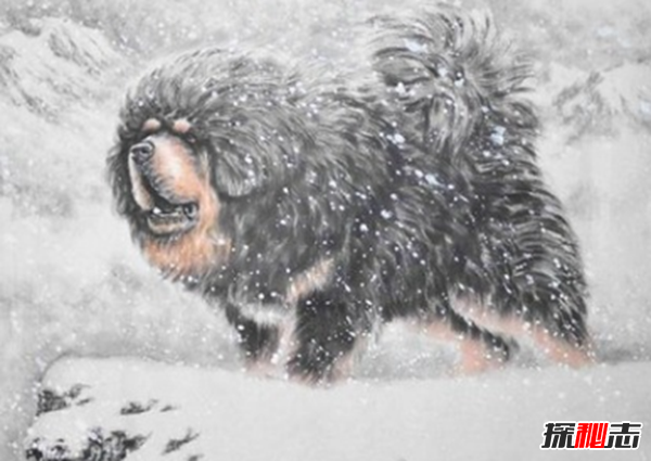 �������˭���� ��������ϸ�ĶԱ�ԭ�����