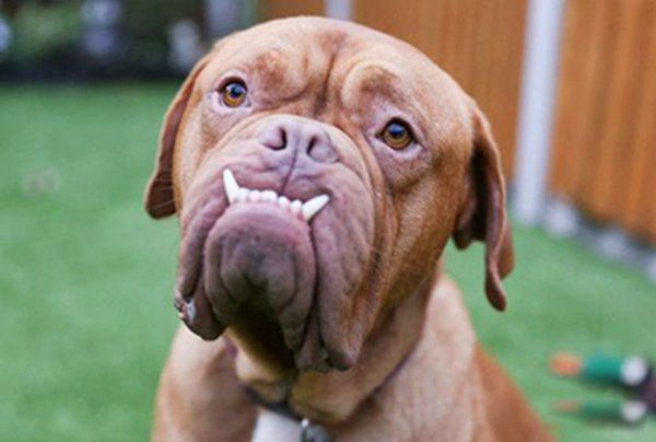 ΢Ц���ֲ��¼����˶����� ���˺ú���ͼƬΪʲô�ֲ�