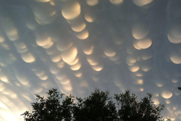 ʮ���������������� �������Щ��ֵ���