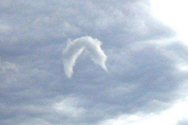 ʮ���������������� �������Щ��ֵ���