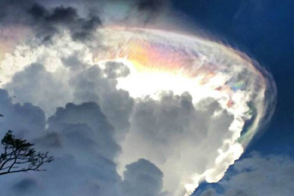 ʮ���������������� �������Щ��ֵ���