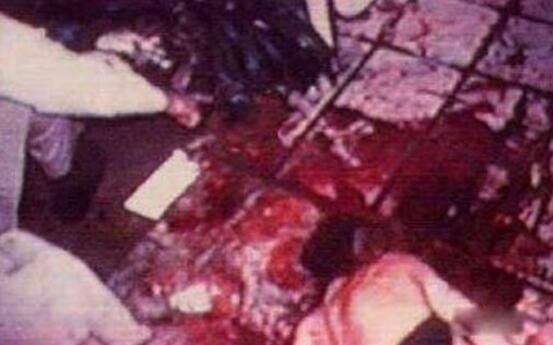 ����ɭɱ�ް�����˭������ ����ɭɱ�ް���������