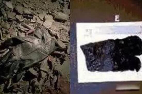 ����ɭɱ�ް�����˭������ ����ɭɱ�ް���������