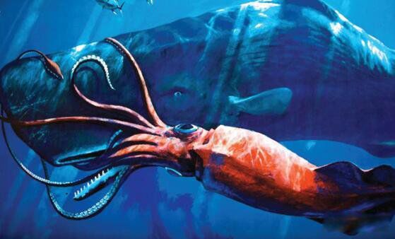 Ĩ�㾨vs����������Ƶ˭��Ӯ ����������Ĩ�㾨�ĸ�������