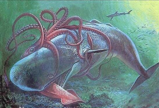 Ĩ�㾨vs����������Ƶ˭��Ӯ ����������Ĩ�㾨�ĸ�������