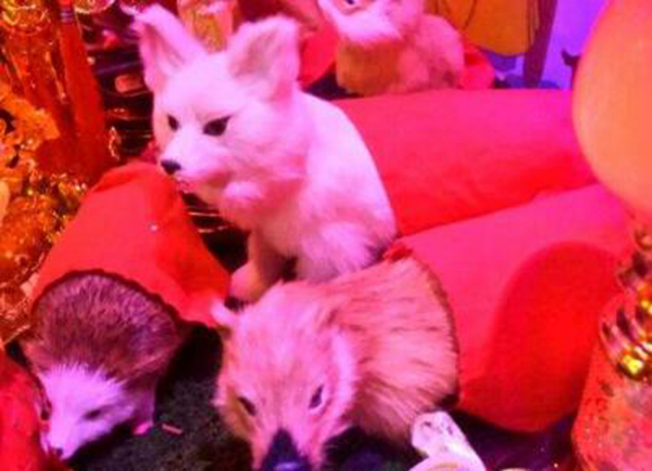 ����������ʲô��˼ �����ɵ�����һ�㶼��ʲô