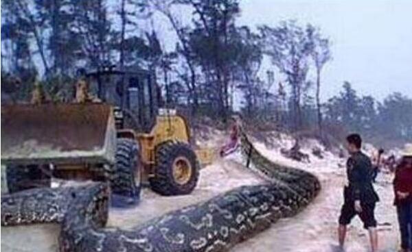 4���ִ����¼� �ڳ������¼���ʵͼƬ��ȫ