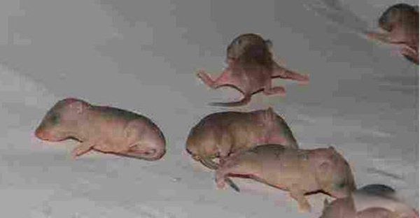 Ů���������������¼������Ǽ� ��Ϊ������Ů����������ĺ���