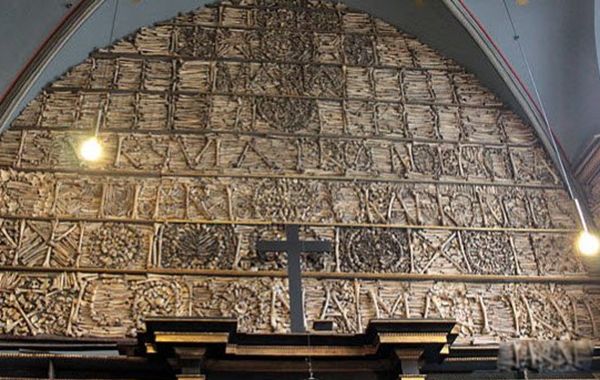 �ֲ���������ǰʮ�� ȫ������ֲ��Ľ����̵�