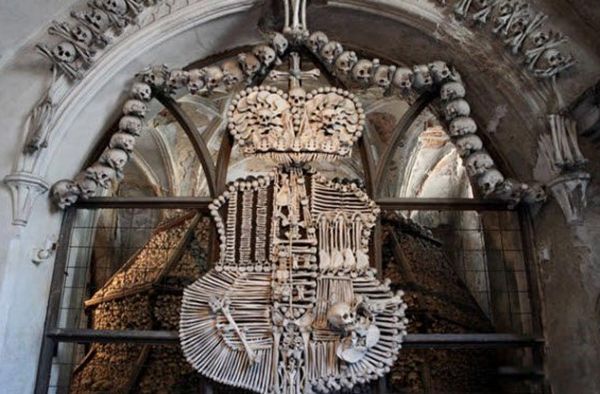 �ֲ���������ǰʮ�� ȫ������ֲ��Ľ����̵�