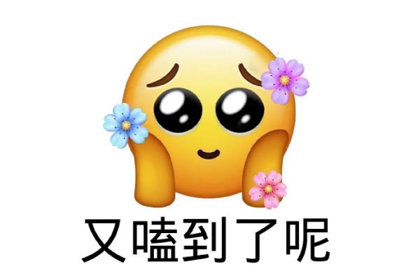 kswl是什么意思的缩写 饭圈用语kswl的意思解释