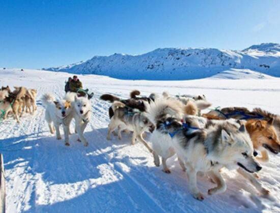 ��˹��Ħ��������ʧ֮�� ��˹��Ħ����ʧ�¼���ô����