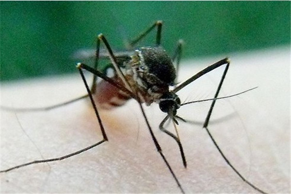 �������������ж�� ��ʲô��ʲô����ͼƬ