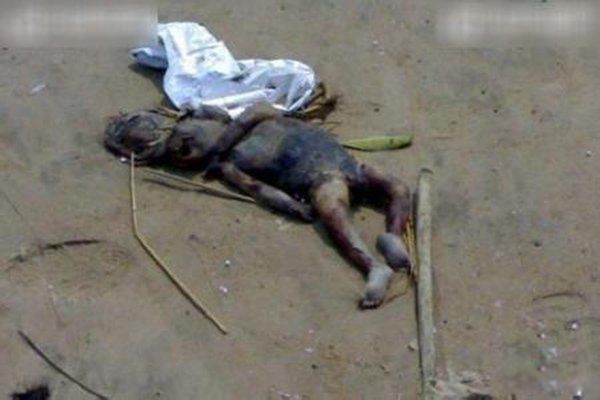 ˮ��ˮ���ж�ֲ� �㶫ˮ��ץ��ˮ����ʵͼƬ������