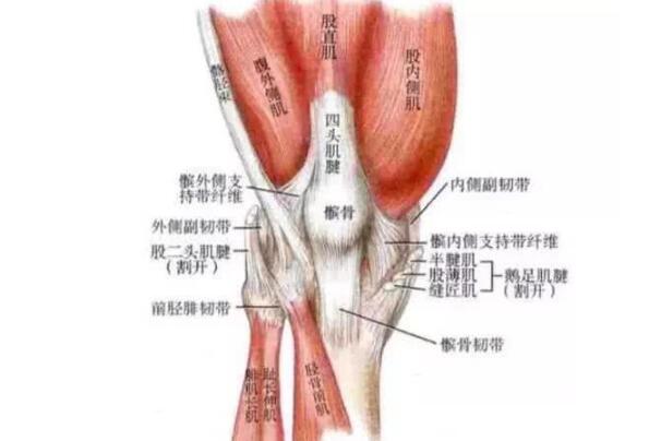 膑刑是什么意思 孙膑的膑刑的膑指的是什么名字由来
