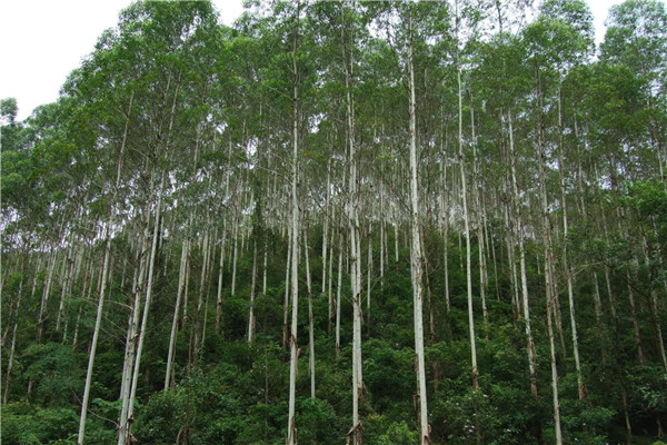 ��ߵ���156�� �Ĵ���������������ʲô����ͼƬ