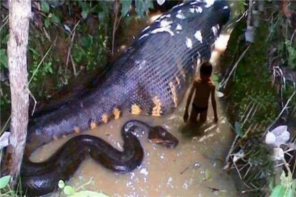 �������ж೤�᲻����� �����������߳���ͼƬ