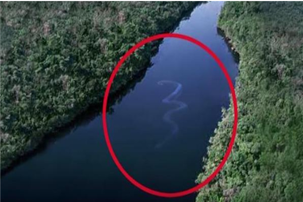 �������ж೤�᲻����� �����������߳���ͼƬ