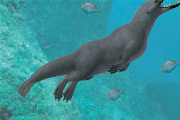 �������������½����������� ����ľ�������ʲô����������