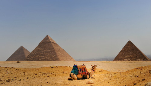 �������Ľ��������ĸ�ռ������Ƕ��� �Ǻ����������