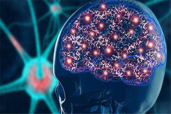 ������Ŵ���ʲô��˼ ��ô���������Ŵ��ĺ���