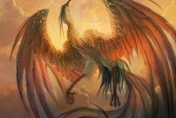 �Ϲ��������а�ǰʮ��ͼƬ �Ϲ�����������һ����ͼƬ