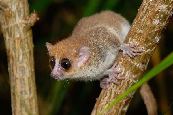 �������ʲô�����Σ������ ����������С�Ķ�����