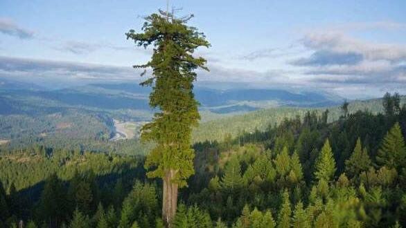 ��������ߵ����ж����׸� ��ʲô����ʲô����