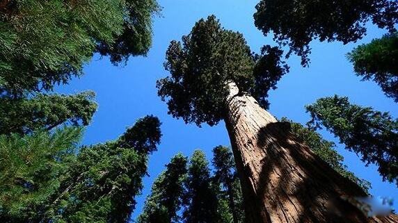 ��������ߵ����ж����׸� ��ʲô����ʲô����