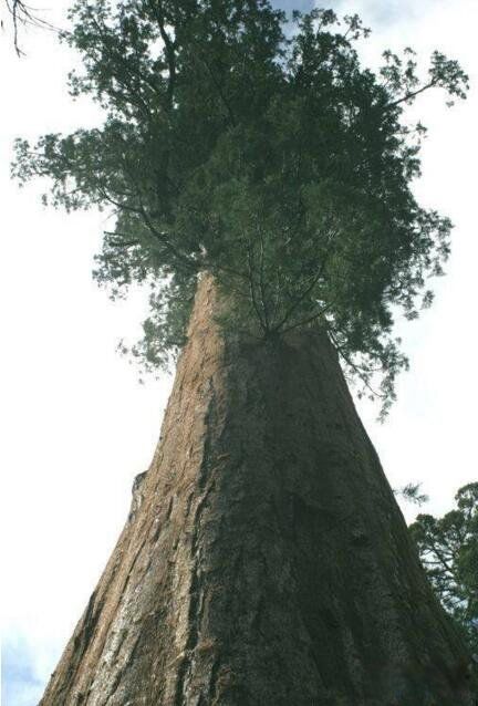 ��������ߵ����ж����׸� ��ʲô����ʲô����