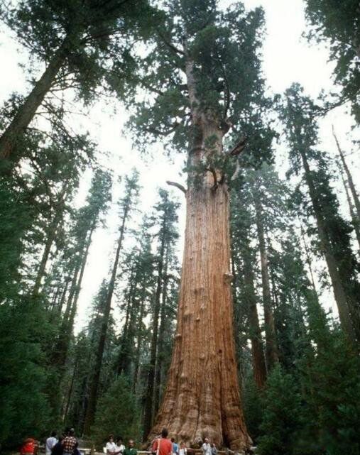 ��������ߵ����ж����׸� ��ʲô����ʲô����