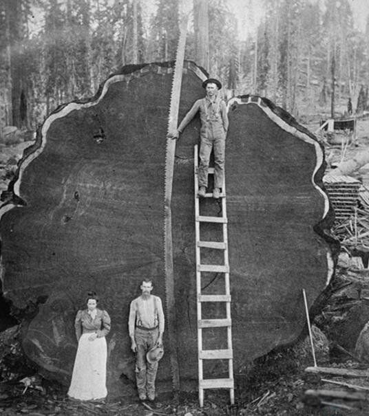 ��������ߵ����ж����׸� ��ʲô����ʲô����