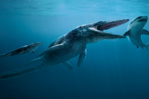 ������ͼƬ��ʲô���� ����ĵ�������ж��