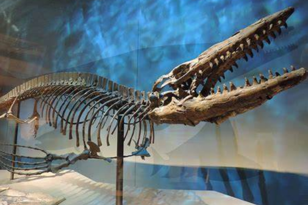 ������ͼƬ��ʲô���� ����ĵ�������ж��