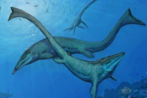 ������ͼƬ��ʲô���� ����ĵ�������ж��