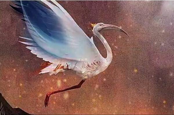 �Ϲ��������а�ǰʮ��ͼƬ �Ϲ�����������һ����ͼƬ