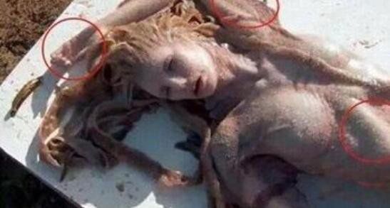 ���������������� �Բ������д��о�