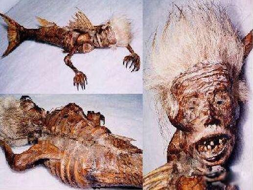 ���������������� �Բ������д��о�