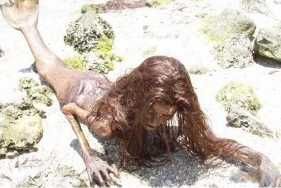 ���������������� �Բ������д��о�