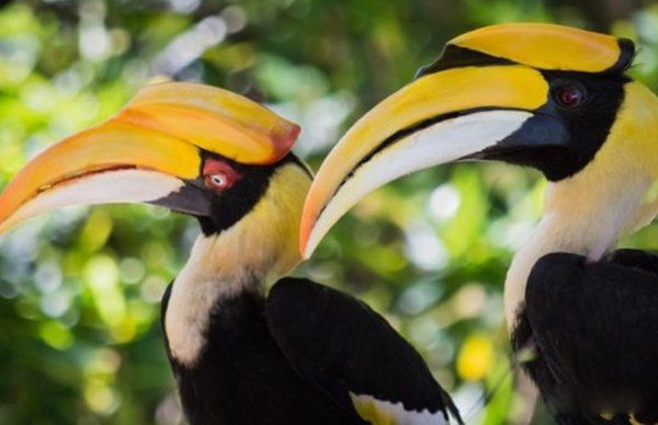 ���ﷱֳ�ķ�ʽ���ļ��� ʮ�ֶ���ķ�ֳ��ʽ�㻹֪����Щ